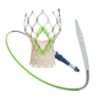 Evolut™ FX+ transcatheter aortic valve and delivery catheter