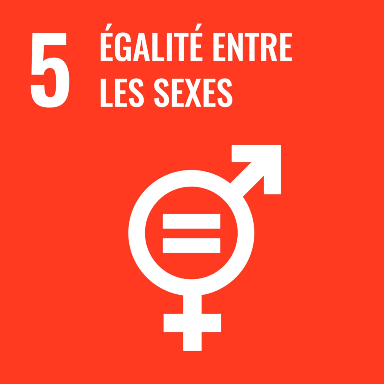 Objectif N°5 - Egalité entre les sexes
