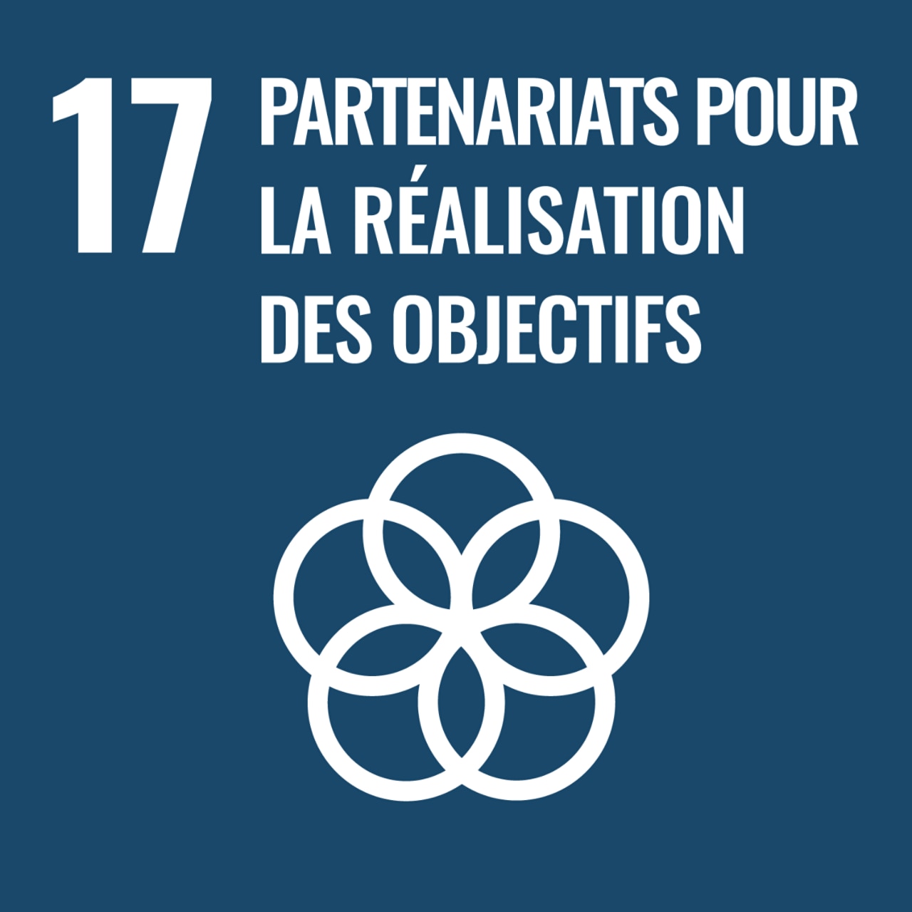 Objectif N°17 - Partenariats pour la réalisation des objectifs