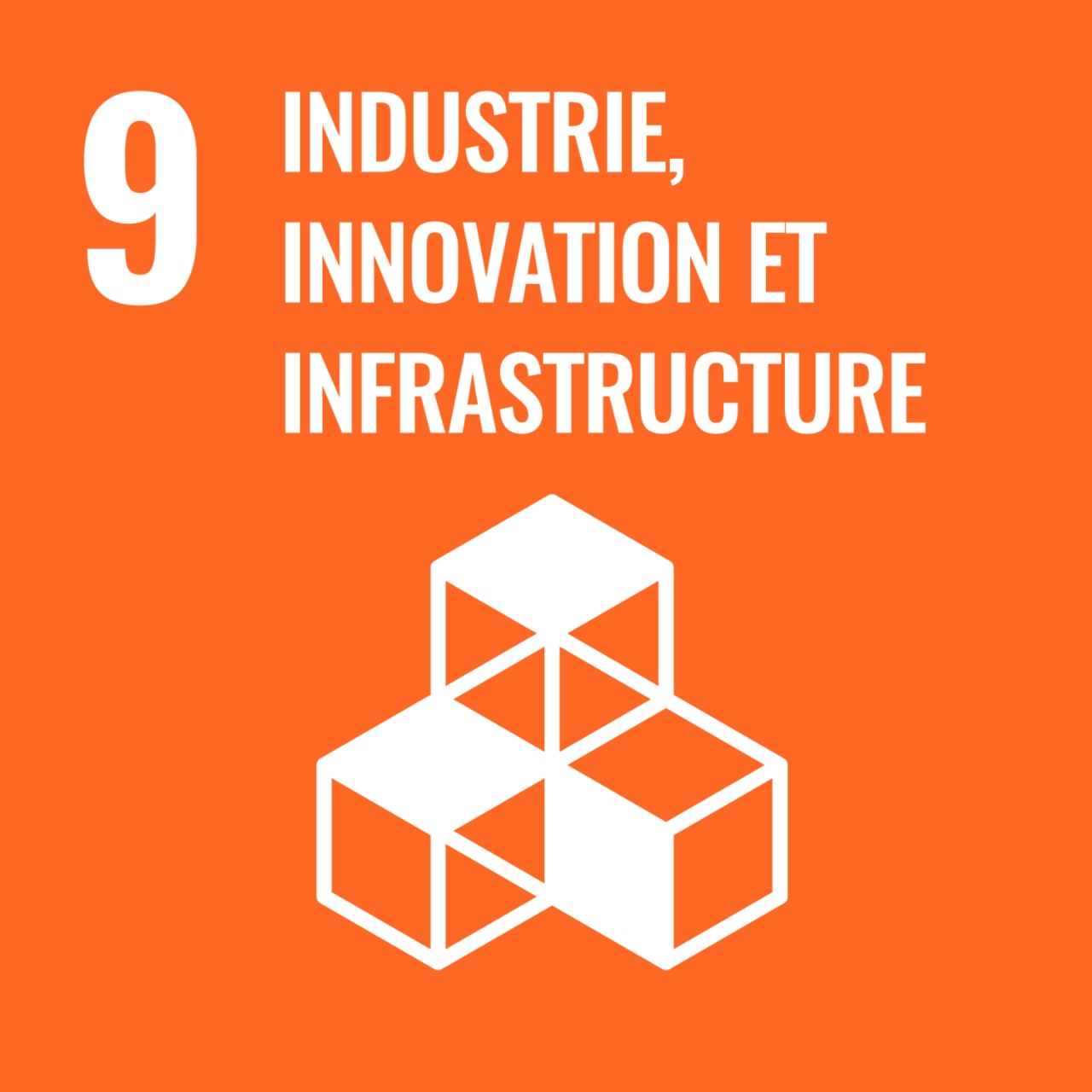 Objectif N°9 - Industrie, innovation, infrastructure